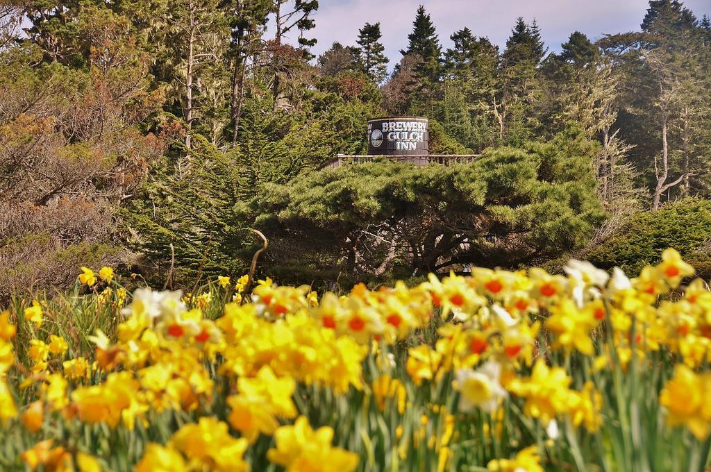 Brewery Gulch Inn Mendocino Exterior foto